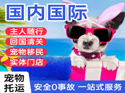 东阳横店机场托运国际宠物托运 【国